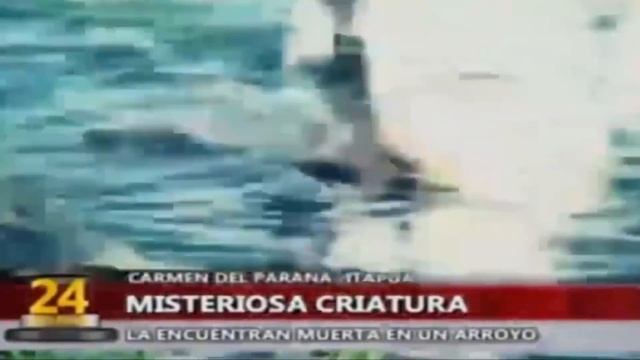 7 РЕАЛЬНЫХ ЧУПАКАБР, СНЯТЫХ НА КАМЕРУ