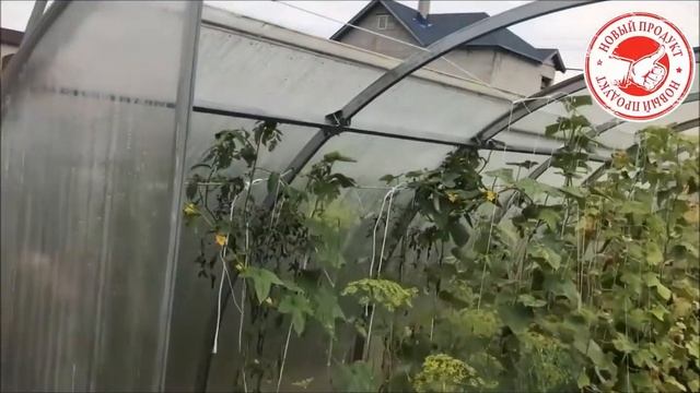Теплица Тюльпан сдвижная крыша и боковины смотреть онлайн