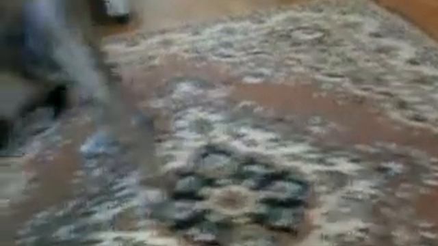хорёк Хазар и собака Грэйми) смотреть онлайн