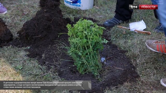 U74.RU: Воспитанники детского лагеря в Миассе высадили литературную аллею. смотреть онлайн