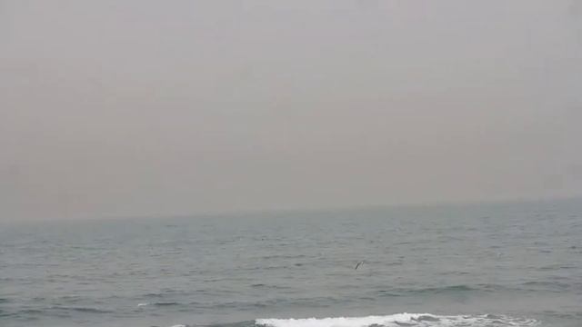 samsung camera nx2000 test- смотреть онлайн