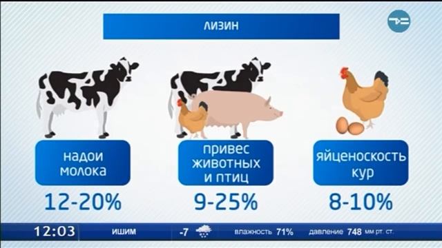 Полезный лизин