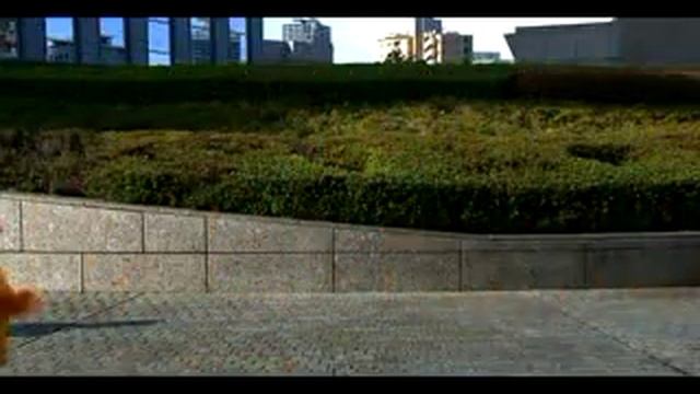 CES 2010 - Cámaras Digitales