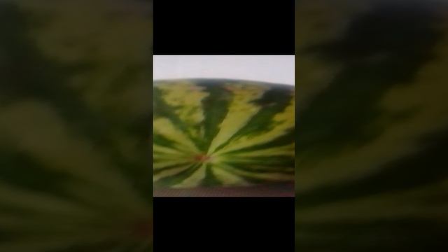 Арбуз арбуз пёрни