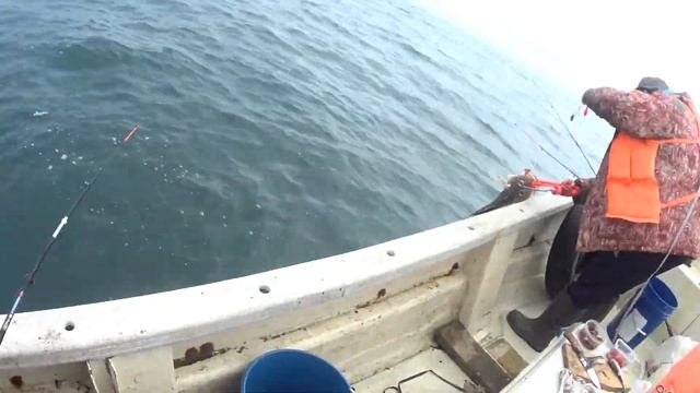 Морские дьяволы! Рыбалка с баркаса. Камбала в заливе. смотреть онлайн