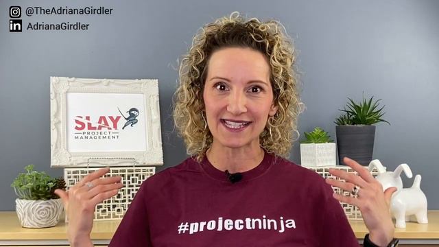 What is a Project Manager? [A DETAILED LOOK] смотреть онлайн