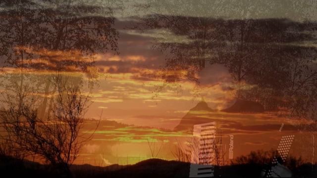 I Talk to the Trees Played by Pat Walter with her Roland FR 4X Accordion смотреть онлайн