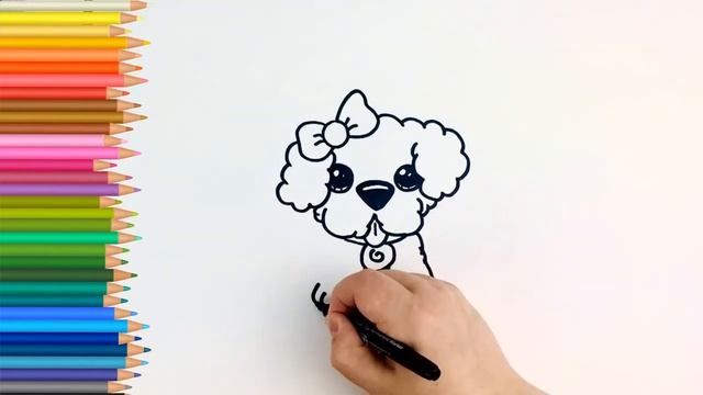 Как нарисовать ПУДЕЛЯ | How to draw a puppy смотреть онлайн
