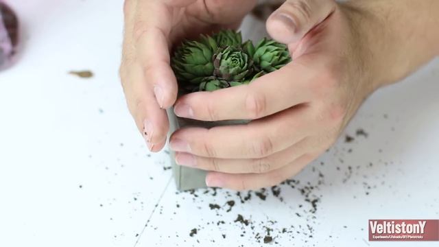 Как сделать бетонный цветочный горшок [DIY] смотреть онлайн