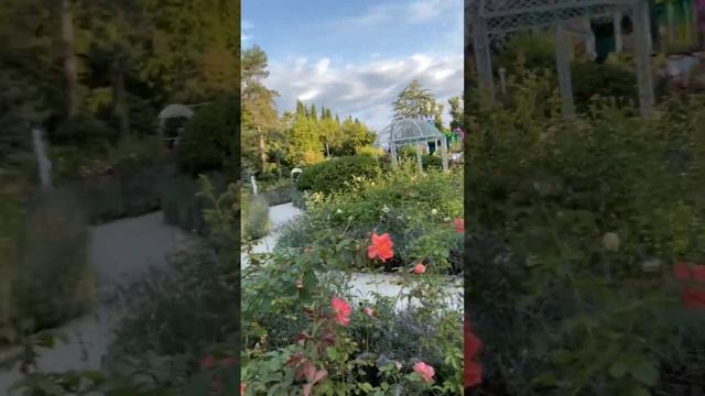 ВСЕМ ДОБРЫЙ ВЕЧЕР! #ривьера #ривьерасочи #розы #жизнь #сочи #море #жизньпрекрасна #лето #отдыхвсочи смотреть онлайн