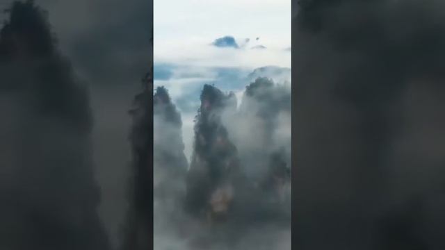 Здесь снимался фильм Аватар смотреть онлайн