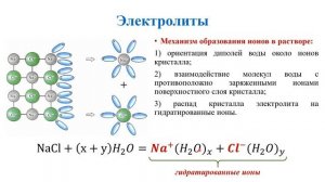 Электролитическая диссоциация / Электролиты / Неэлектролиты