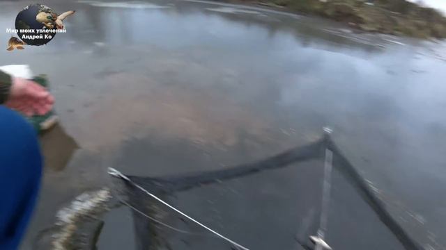 Ловим живца зимой. Верхоплавка,Карасики.. смотреть онлайн