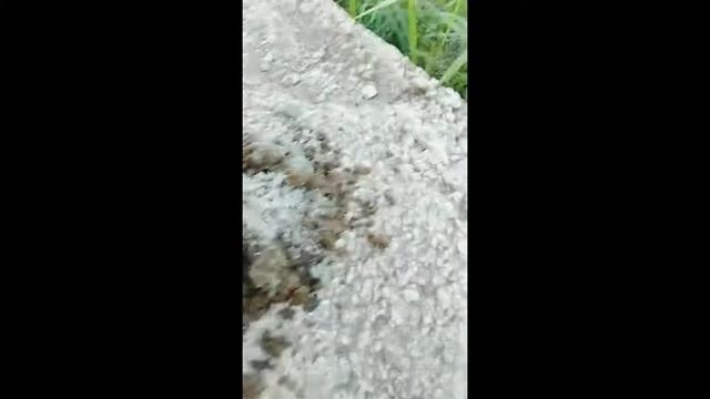 Как сделать цемент своими руками смотреть онлайн