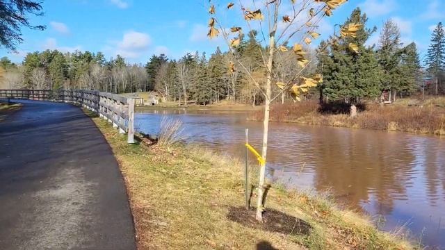 1 декабря в Монктоне. Отвечаю на вопросы. Нью Брансуик. Канада 2022. смотреть онлайн