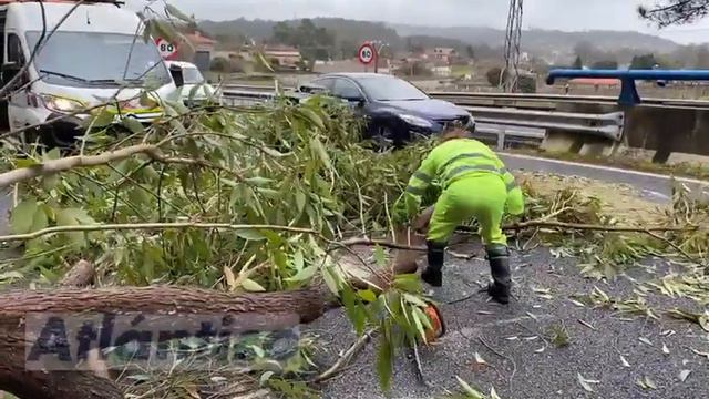 Cortada la A55 en Tui por la caída de un árbol смотреть онлайн