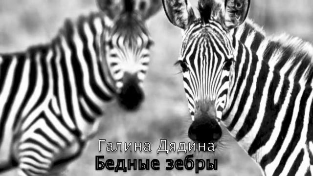 Галина Дядина Бедные зебры смотреть онлайн