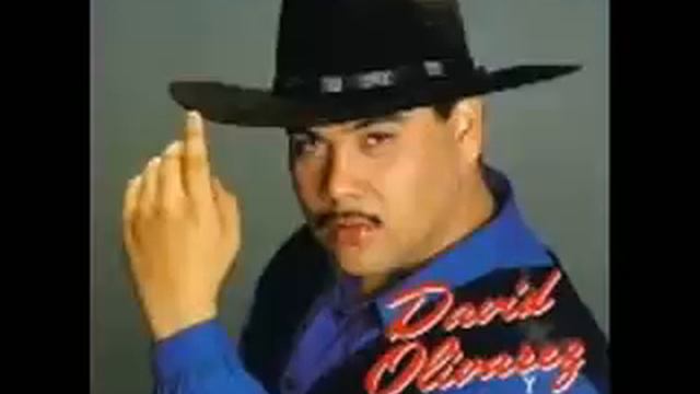 David Olivarez - Woolly Bully . смотреть онлайн