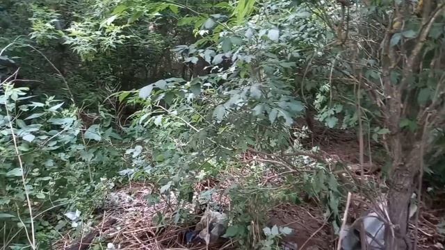 Новое место с хорошим металлом!!! смотреть онлайн