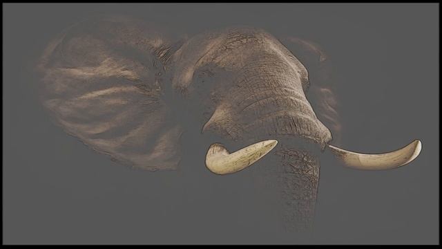 Elephant Sketch Final смотреть онлайн