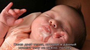 Почему грудничок срыгивает створоженным молоком после кормления