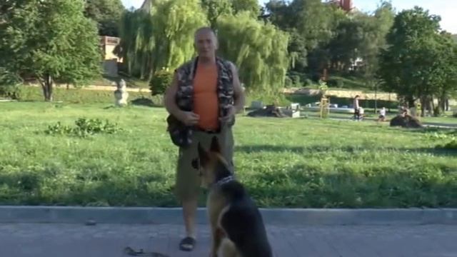 Видимість вироблених рефлексів. А у вашої собаки вироблені рефлекси?! смотреть онлайн