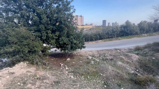 4К Такой участок не надо покупать! Мерсин, Турция смотреть онлайн