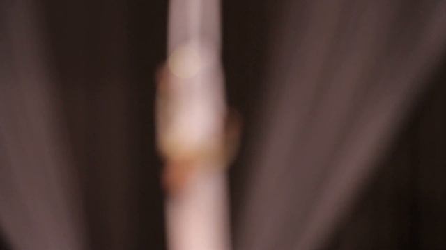 Студия воздушной гимнастики "Vertical" - Могильникова Вероника, 11 лет смотреть онлайн