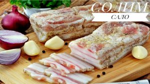 САЛО и ГРУДИНКУ Я СОЛЮ только так ! Рецепт сухой засолки без возни и заморочек!