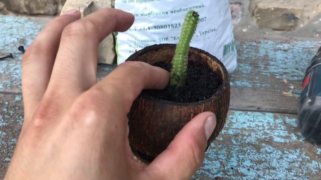 #вазон из кокоса. Часть 5. Финиш смотреть онлайн