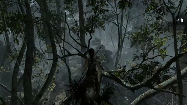 Tomb Raider 2013 on Pentium Dual Core E2180 2.00Ghz and AMD R7 250 BOOST смотреть онлайн