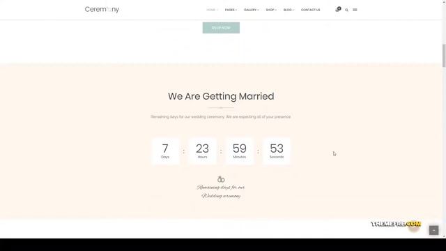 Ceremony - Wedding Planner WordPress Theme clean elegant Easy Create Website смотреть онлайн