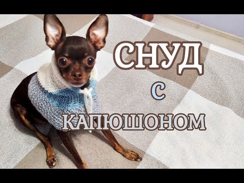 Как связать спицами Снуд с капюшоном для собак и кошек смотреть онлайн