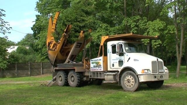 Пересадка деревьев смотреть онлайн