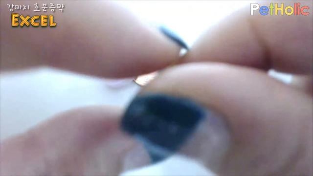 [강아지 호분증약] 8in1 - Excel Deter смотреть онлайн