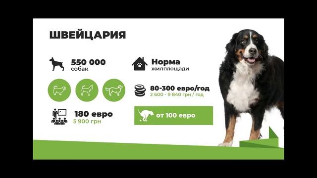 Cодержание собак в Швейцарии.Лекция "Как у Них" смотреть онлайн