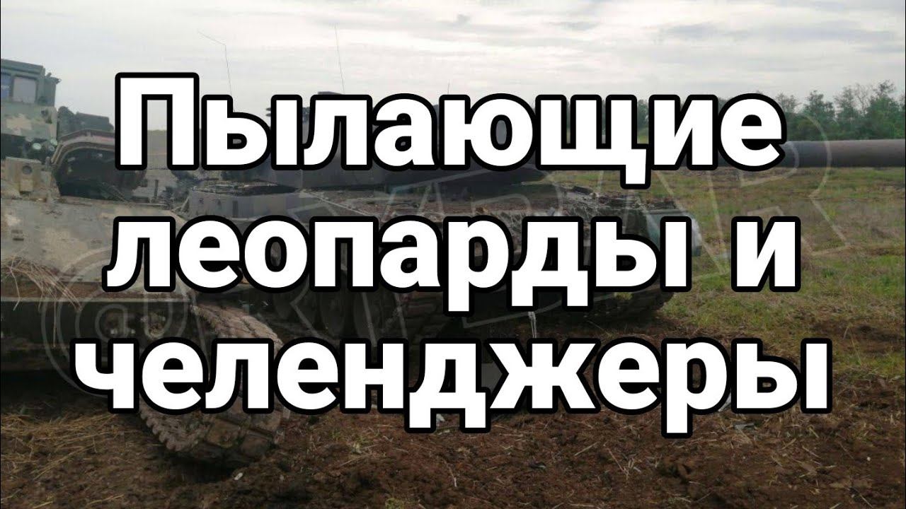 ПЫЛАЮЩИЕ ЛЕОПАРДЫ! Следующие Челенджеры