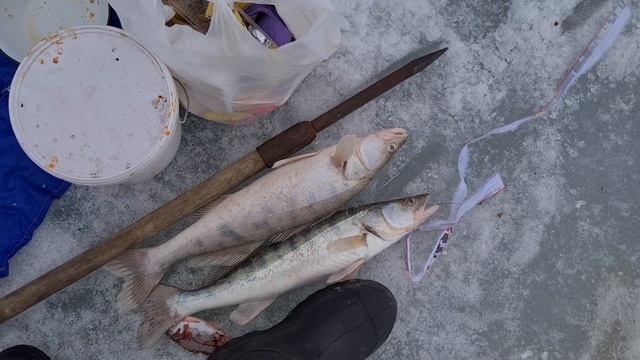 рыбалка Балхаш 16.03.2023г смотреть онлайн