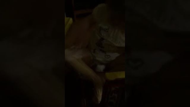 Lotion Mama! смотреть онлайн