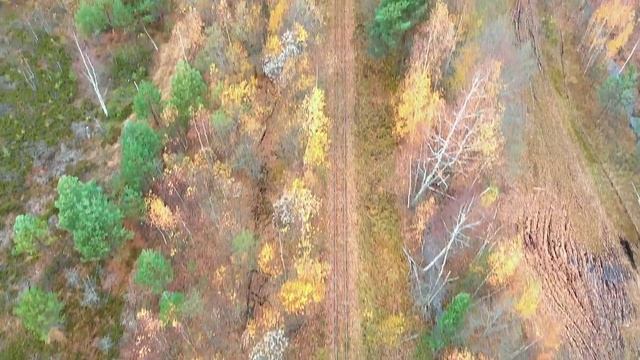 Пролет над торфоразработками в Тесово-Нетыльское смотреть онлайн