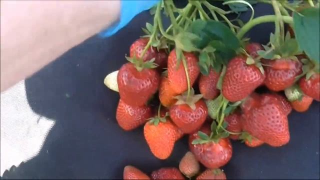 МАРИСОЛЬ - привлекательная новинка 2018 года. смотреть онлайн