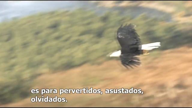 Assassin's Creed 3 - Escena Eliminada - Discurso Épico de Connor - Epílogo Forsaken en Español смотреть онлайн