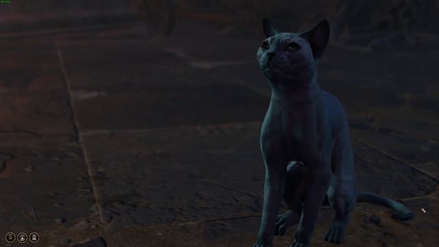 Being Threatened by a Cat in Baldurs Gate 3 смотреть онлайн