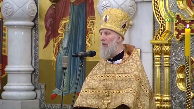 Слово митрофорного протоиерея Николая Малеты на Божественной литругии в Храме на Крови 11.02.2021 смотреть онлайн