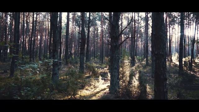 Sony nex 5n cinematic test смотреть онлайн