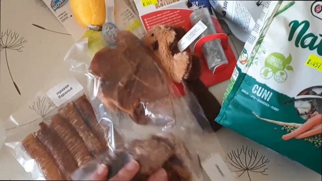 ЧТО я привезла из ЗООМАГАЗИНА ● КТО СЕЙЧАС ГОСТИТ У МЕНЯ смотреть онлайн