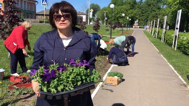 230 добрых дел. Рассадка цветов на Аллее Славы