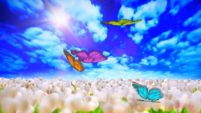 Полевые цветы,летние краски