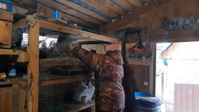 ВОСКРЕСНЫЙ ВЕЧЕР,ИТОГИ ВЫХОДНЫХ смотреть онлайн