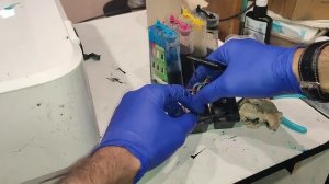 Как правильно установить СНПЧ на принтер Canon MG серии